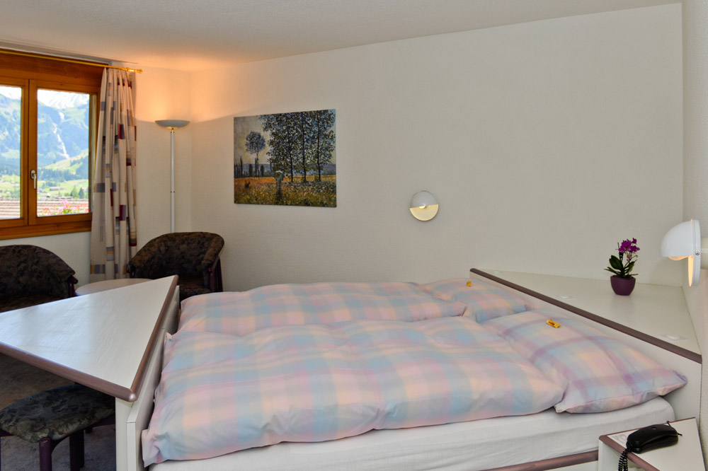 Hotel Viktoria Eden